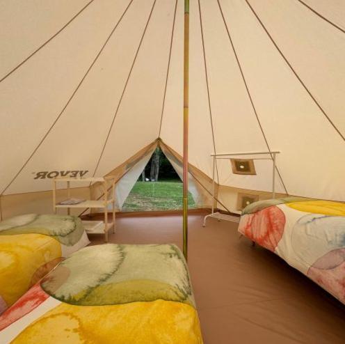 Campsite Bosque De G0rd0n La Pola de Gordon